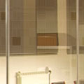 Loview Erratic Line Window Film- 50&quot;x 50 ft | LEL50050
