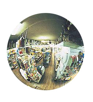 SEEALL 30&quot; Acrylic Convex Economy Mirror Indoor | TPLX30