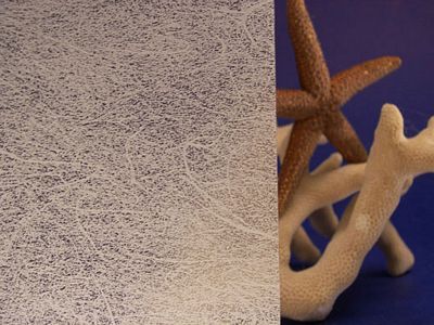 Shoji Translucent Gossamer Decorative Privacy Window Film 36&quot; Wide x 75 ft. Roll | REM0300436075